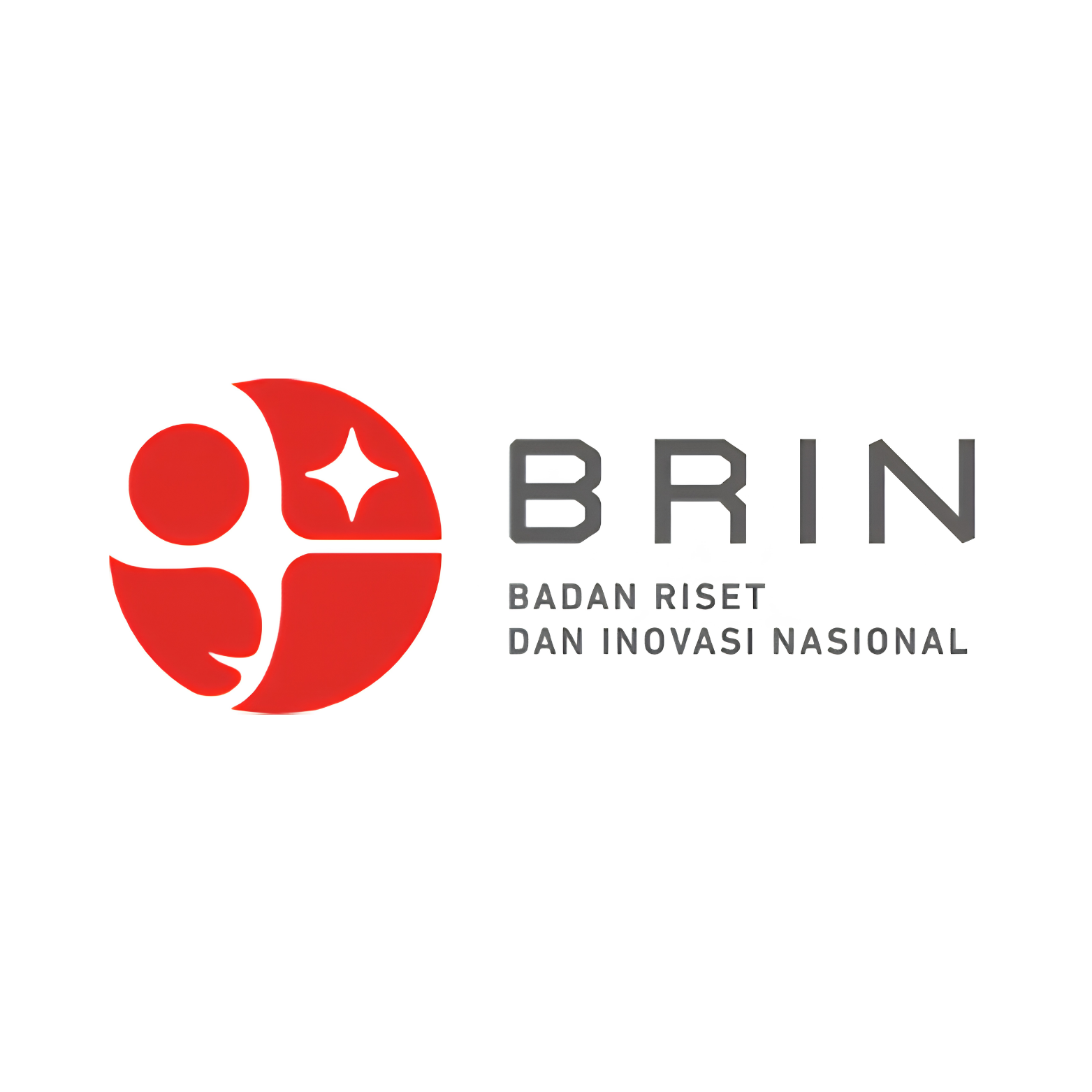 BRIN logo